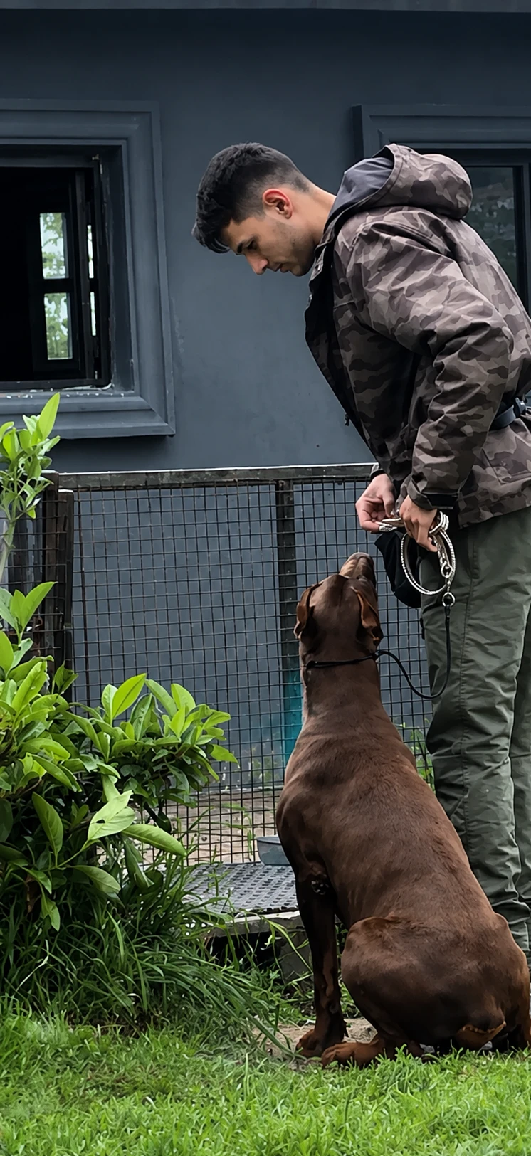 Milo isimli yavru köpek
